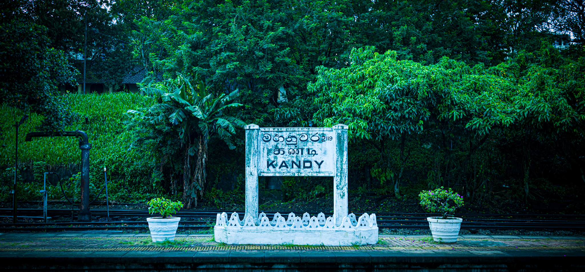 Banner kandy l1005961