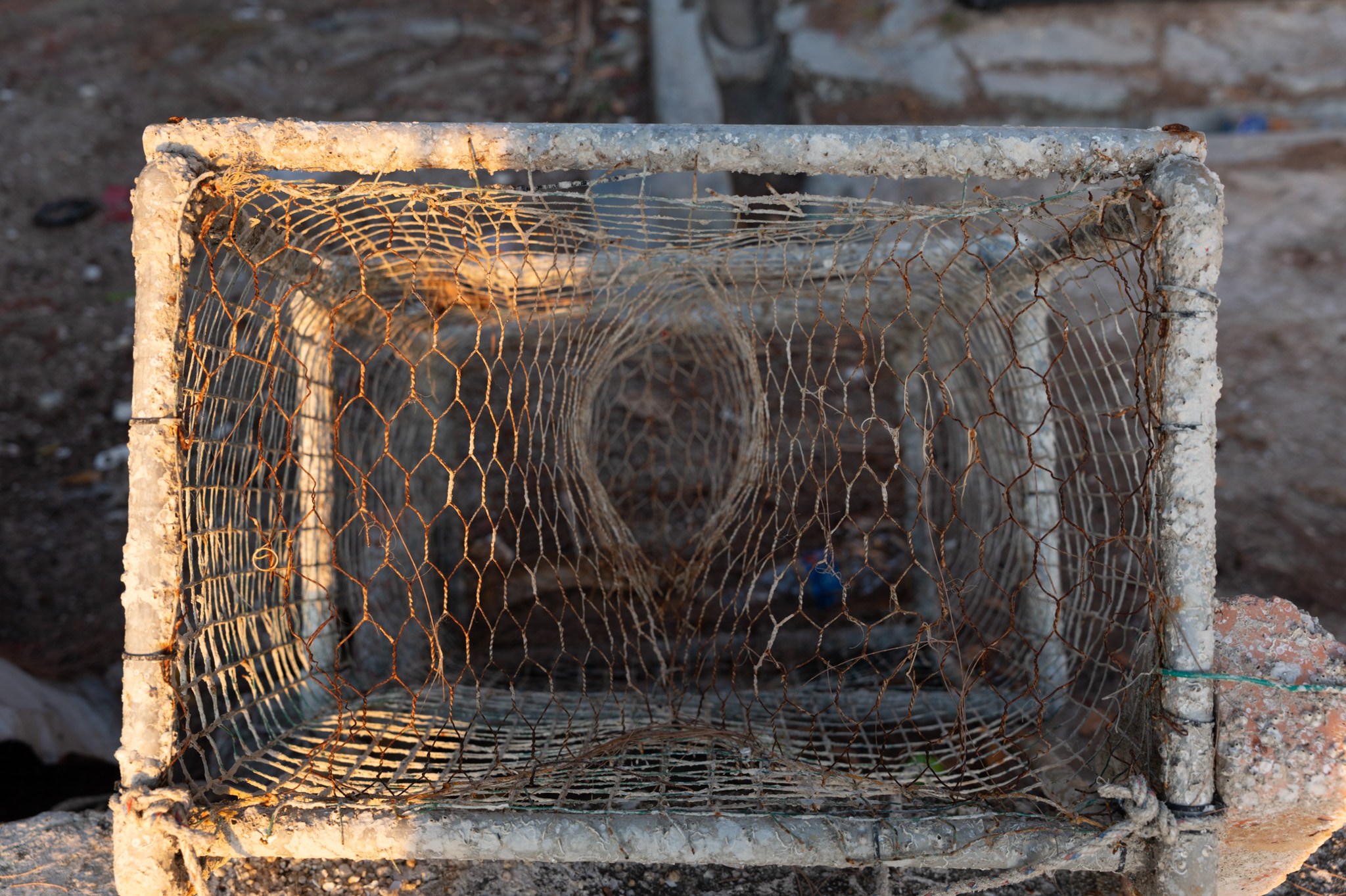 Penang Floating Mosque