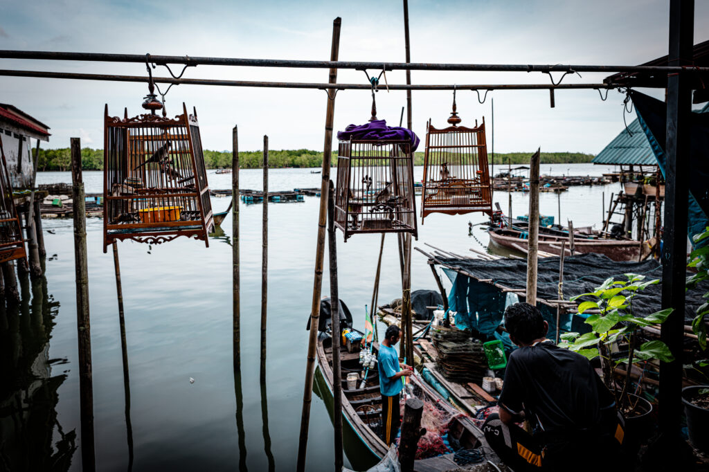 Koh Panyi